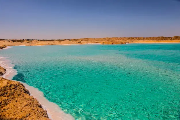 salt-lake-with-turquoise-water-white-salt-shore-near-siwa-oasis-egypt_759575-4137