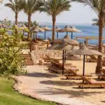 "Marsa Alam: Where Desert Meets the Red Sea"