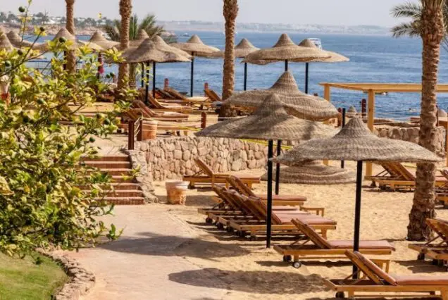 "Marsa Alam: Where Desert Meets the Red Sea"